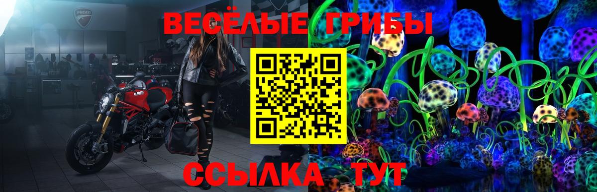 Галлюциногенные грибы GOLDEN TEACHER Саратов